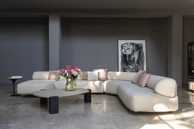 _S9T5167 GOGAN MOROSO